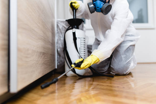 Best Flea Control Services  in Robertsde, AL