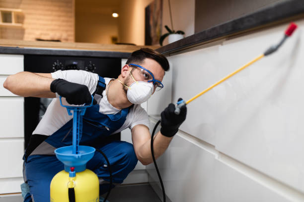 Best Bed Bug Extermination  in Robertsde, AL