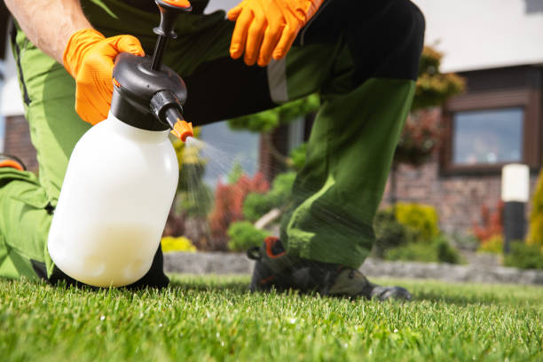 Best Pest Prevention Services  in Robertsde, AL