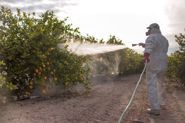Best Wasp Removal Services  in Robertsde, AL
