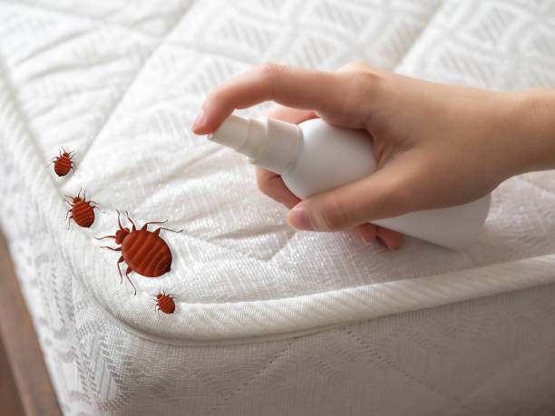 Best Commercial Pest Control Services  in Robertsde, AL