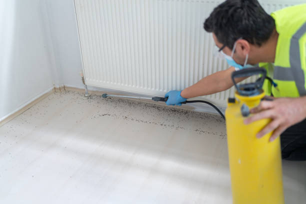 Wasp Removal Services in Robertsdale, AL