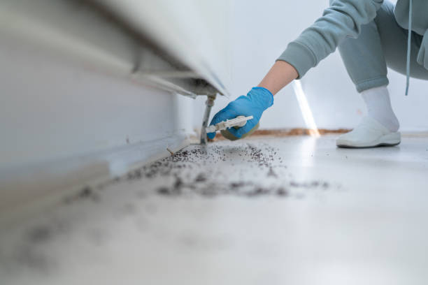 Best Termite Control Services  in Robertsde, AL