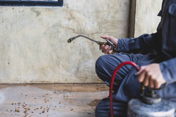 Best Best Pest Control Companies  in Robertsde, AL