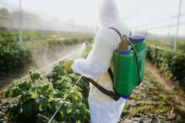 Best Mosquito Control Services  in Robertsde, AL
